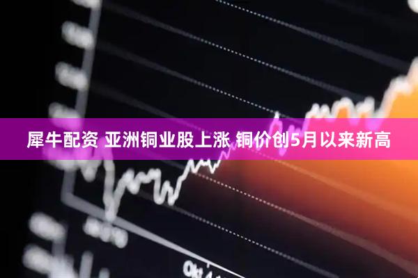 犀牛配资 亚洲铜业股上涨 铜价创5月以来新高