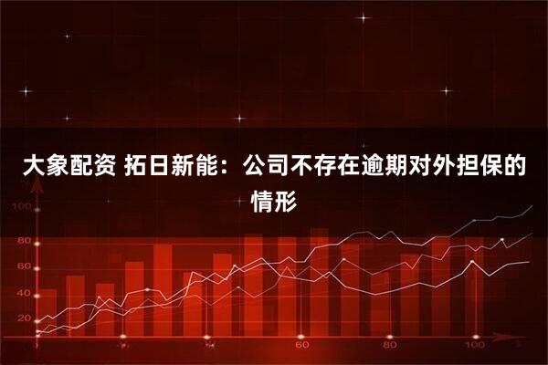 大象配资 拓日新能：公司不存在逾期对外担保的情形