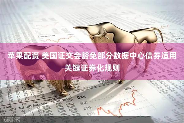 苹果配资 美国证交会豁免部分数据中心债券适用关键证券化规则
