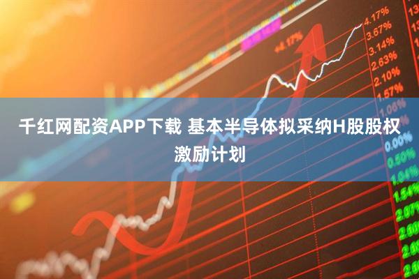 千红网配资APP下载 基本半导体拟采纳H股股权激励计划