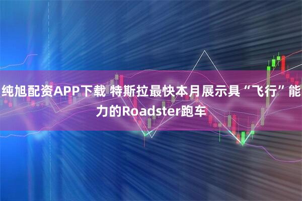 纯旭配资APP下载 特斯拉最快本月展示具“飞行”能力的Roadster跑车