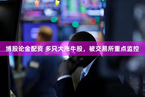 博股论金配资 多只大涨牛股，被交易所重点监控