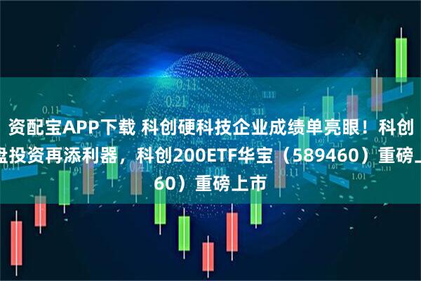 资配宝APP下载 科创硬科技企业成绩单亮眼！科创小盘投资再添利器，科创200ETF华宝（589460）重磅上市